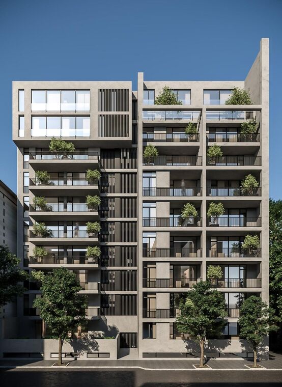 Domus Paliashvili — 5