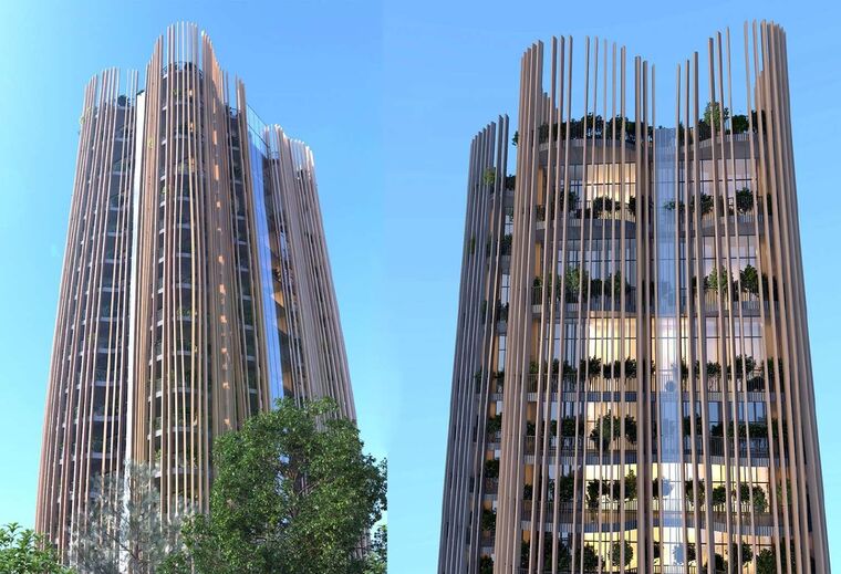 Domus Trees