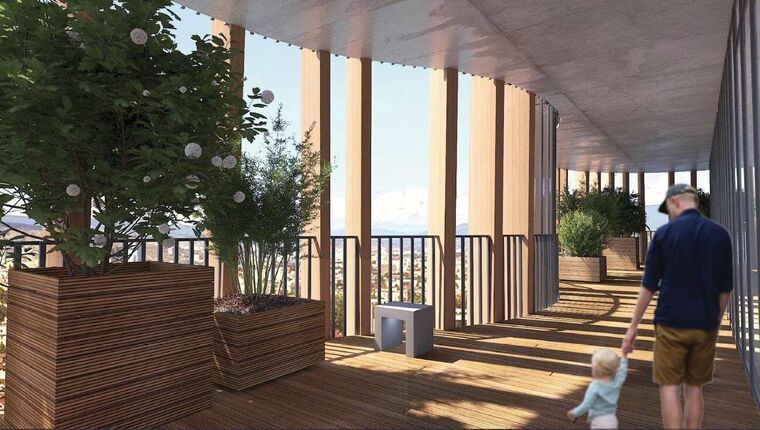Domus Trees — 5